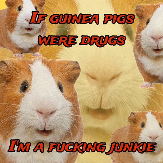 CARTE Guinea pigs lover