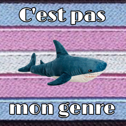 CARTE C'est pas mon genre