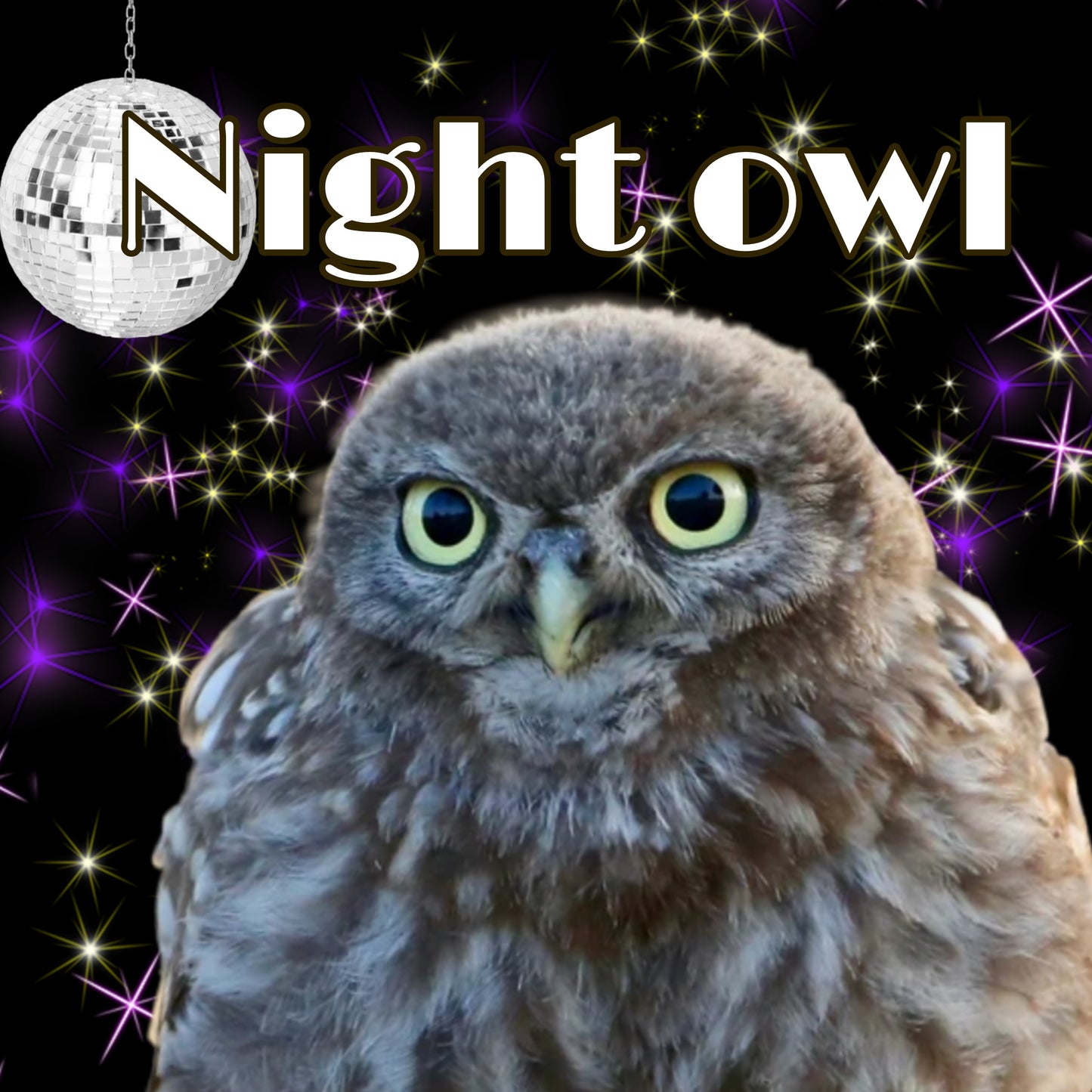STICKER Night owl