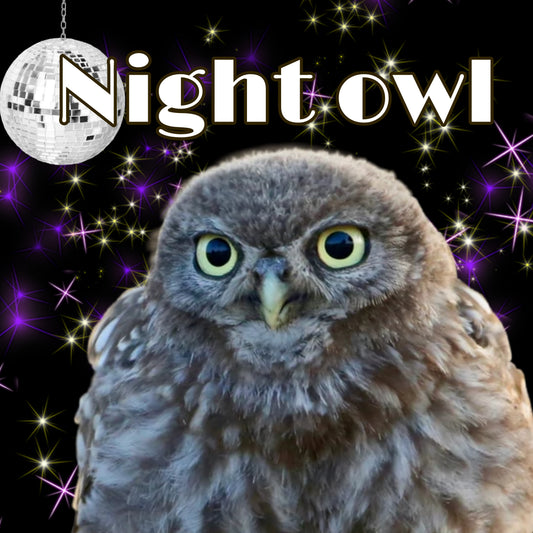 CARTE Night owl